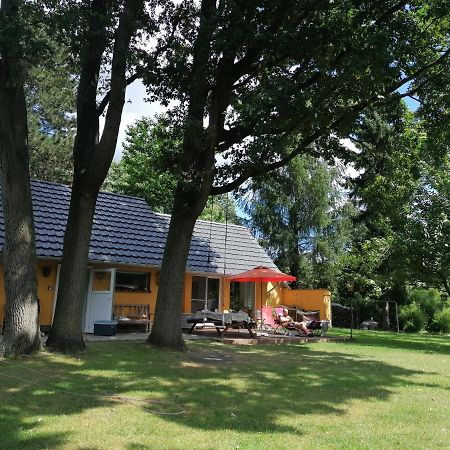 Bleichehof Vila Burg  Exterior foto