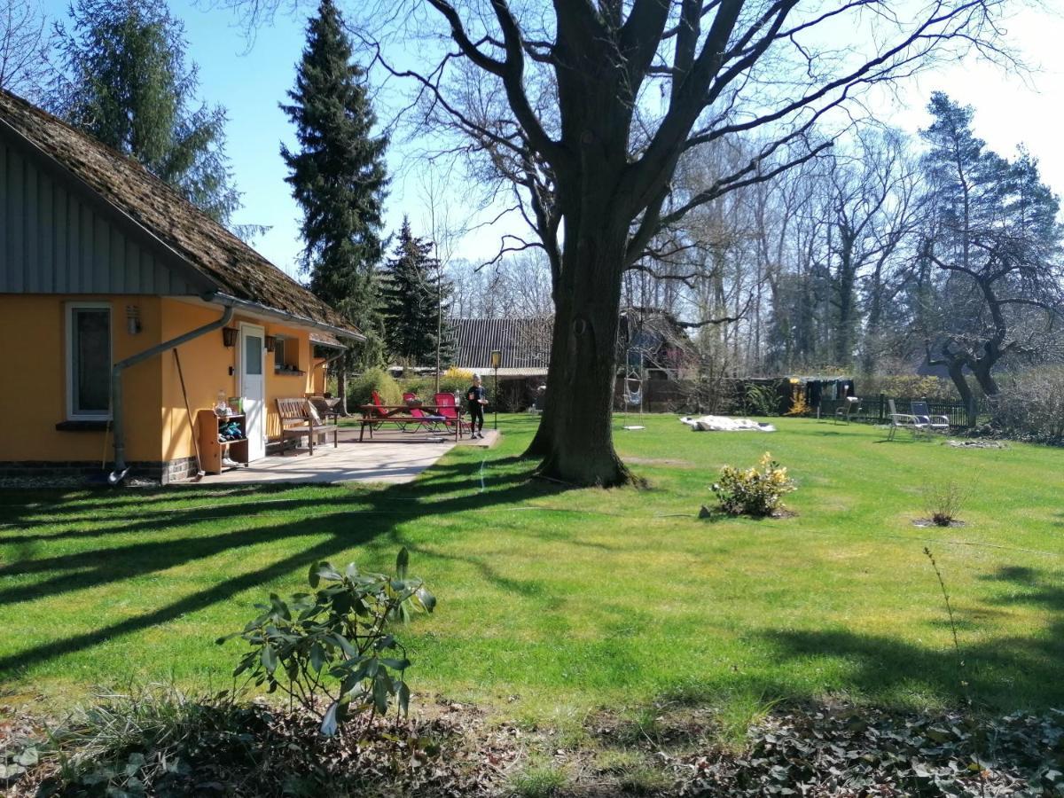 Bleichehof Vila Burg  Exterior foto