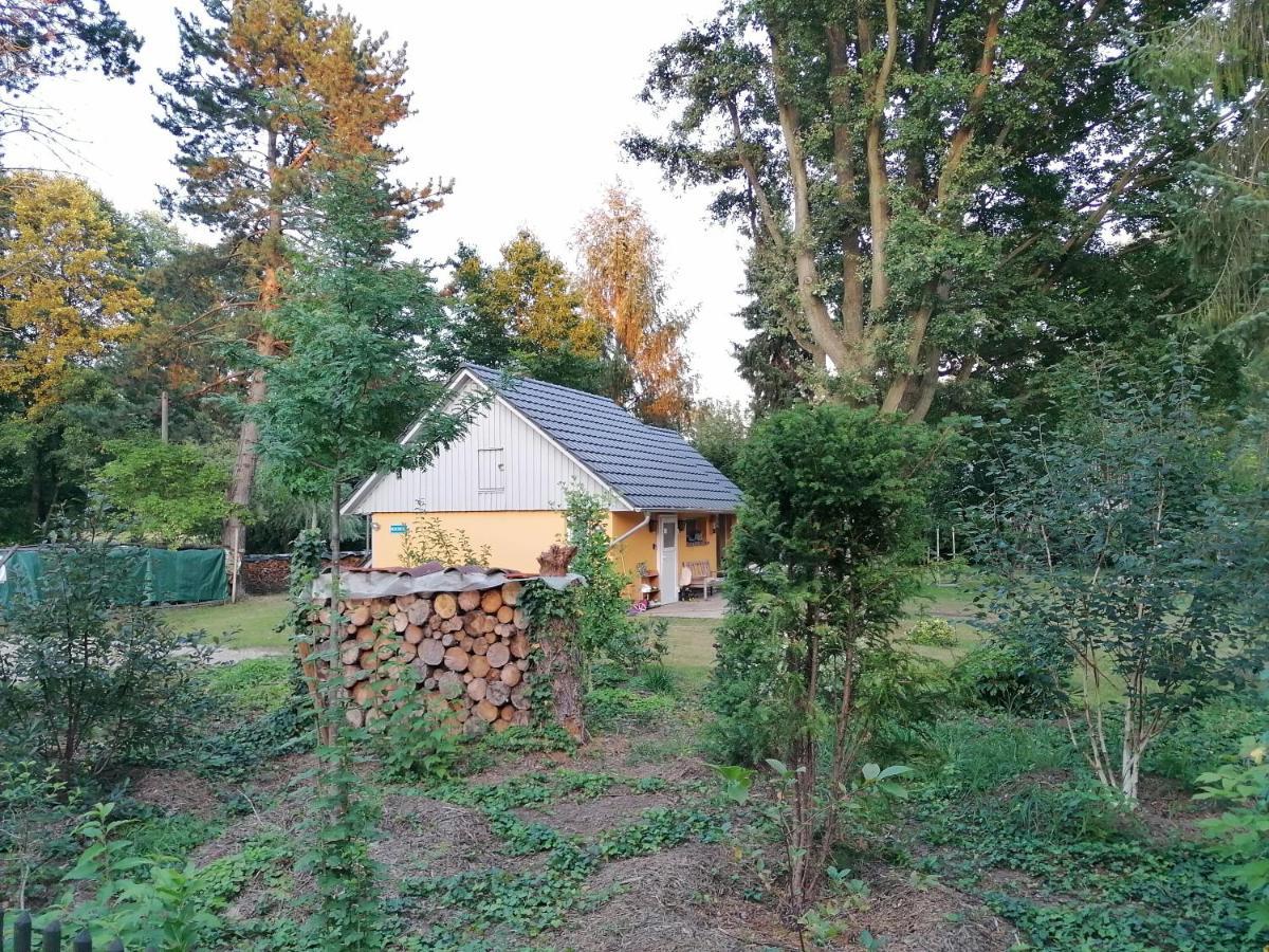 Bleichehof Vila Burg  Exterior foto