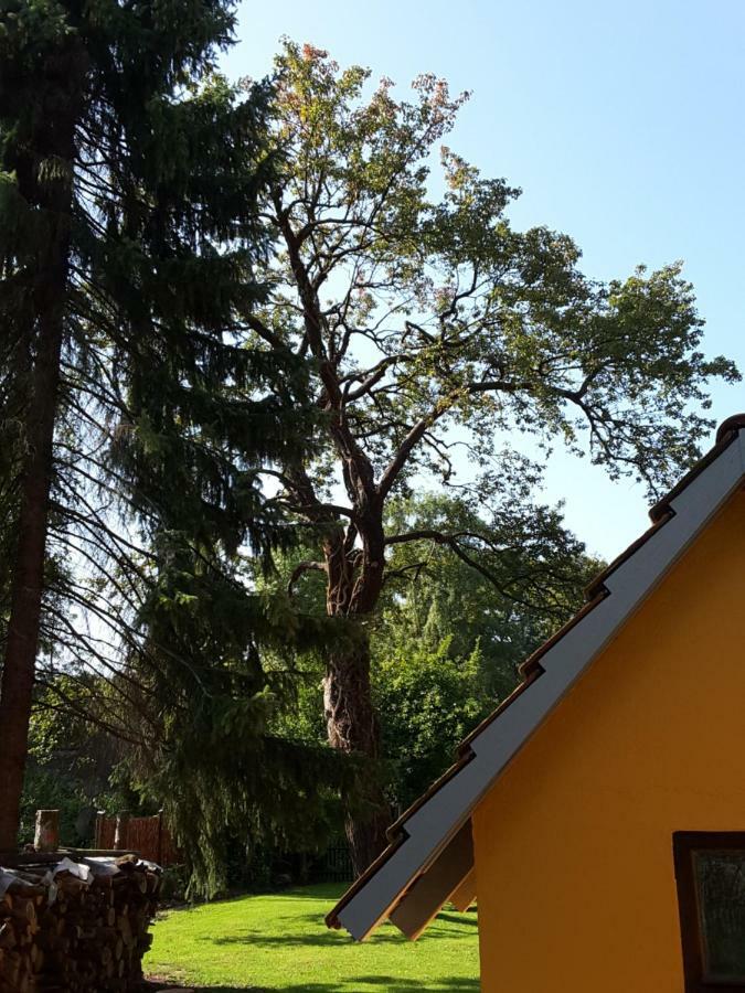Bleichehof Vila Burg  Exterior foto